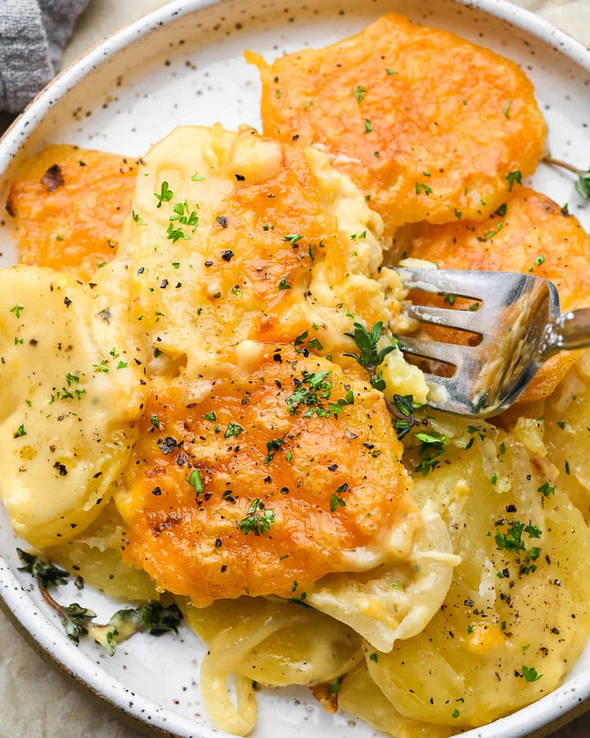potatoes au gratin on a plate with a fork