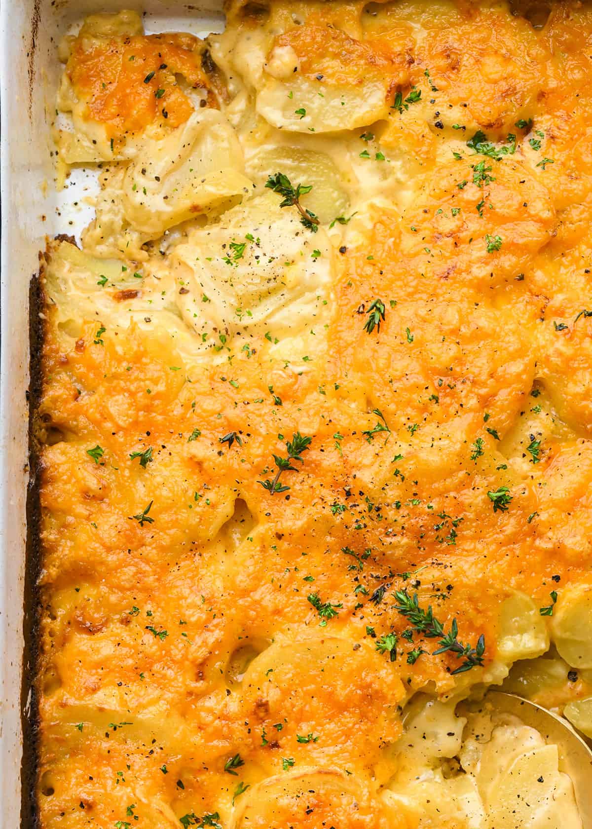 potatoes au gratin in a baking dish with a spoon