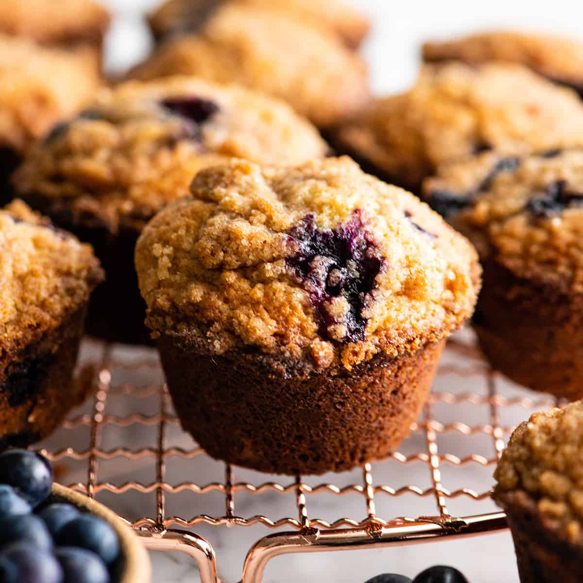 front view of blueberry muffins on a cooling rack