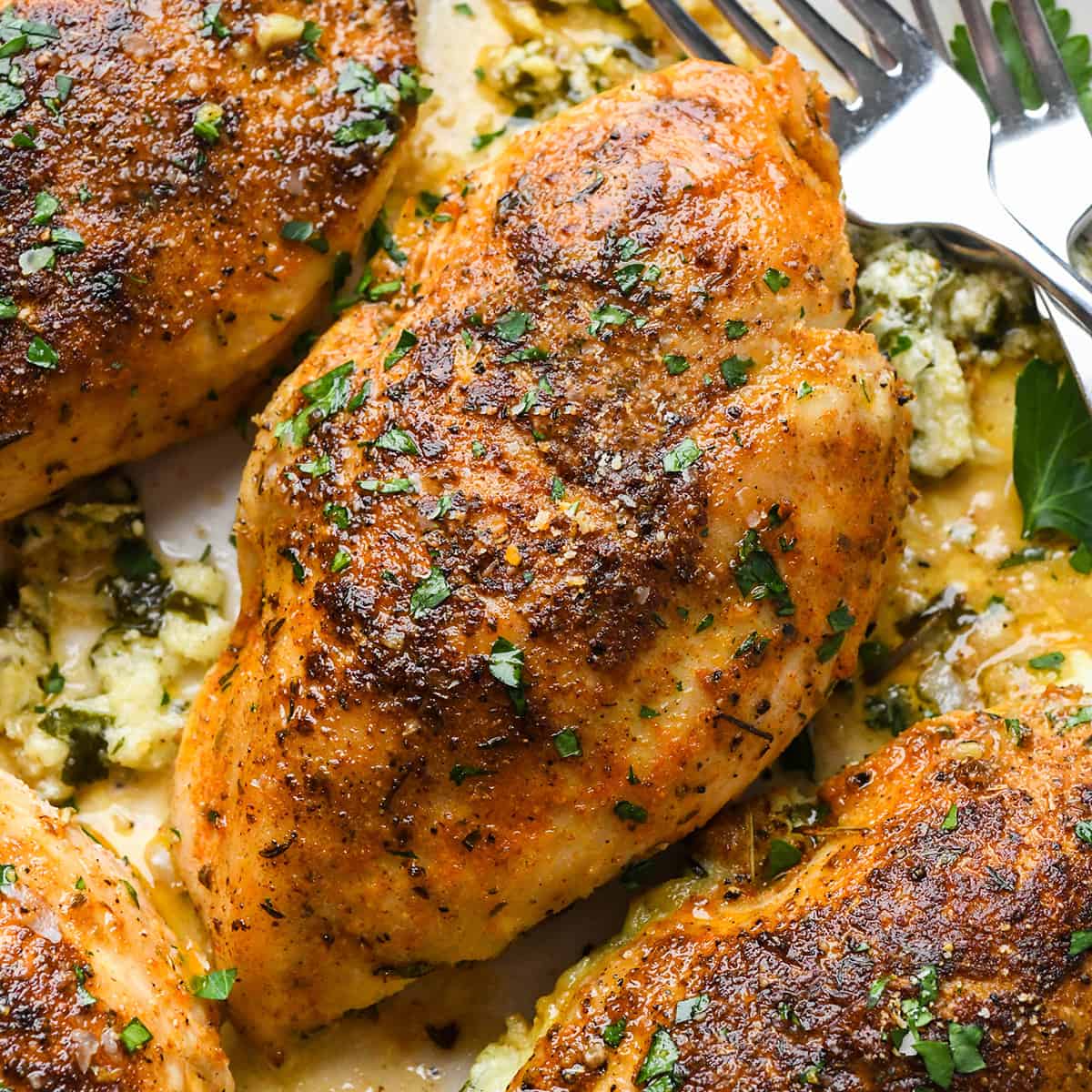 chicken breast cooked on a plate