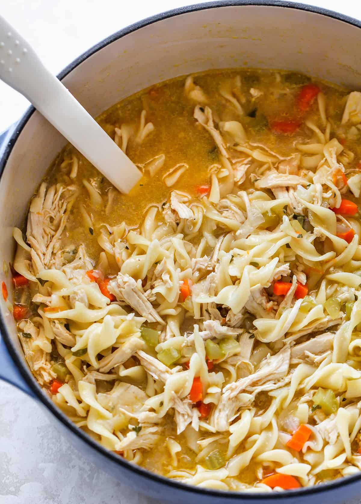 This is the best homemade Chicken Noodle Soup Recipe ever! This easy chicken noodle soup is flavorful, hearty, healthy and it’s made in one pot in under an hour! Follow our step-by-step instructions & watch the video to learn how to make chicken noodle soup! overhead view of a pot of Homemade Chicken Noodle Soup