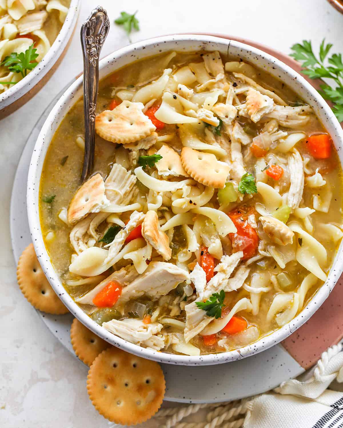 This is the best homemade Chicken Noodle Soup Recipe ever! This easy chicken noodle soup is flavorful, hearty, healthy and it’s made in one pot in under an hour! Follow our step-by-step instructions & watch the video to learn how to make chicken noodle soup! overhead photo of a bowl of Homemade Chicken Noodle Soup