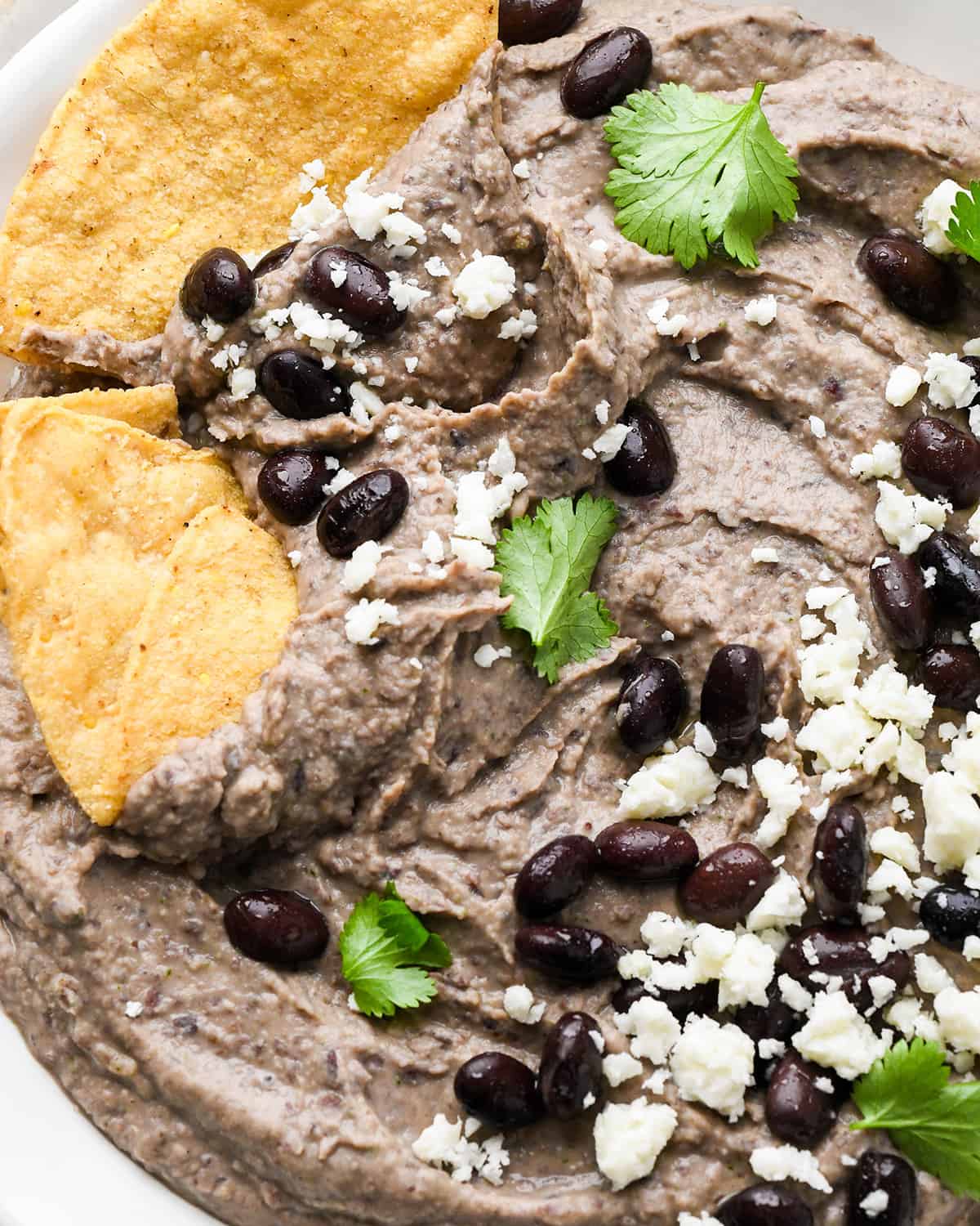 a bowl of Black Bean Dip garnished with cilantro. black beans, cheese and chips