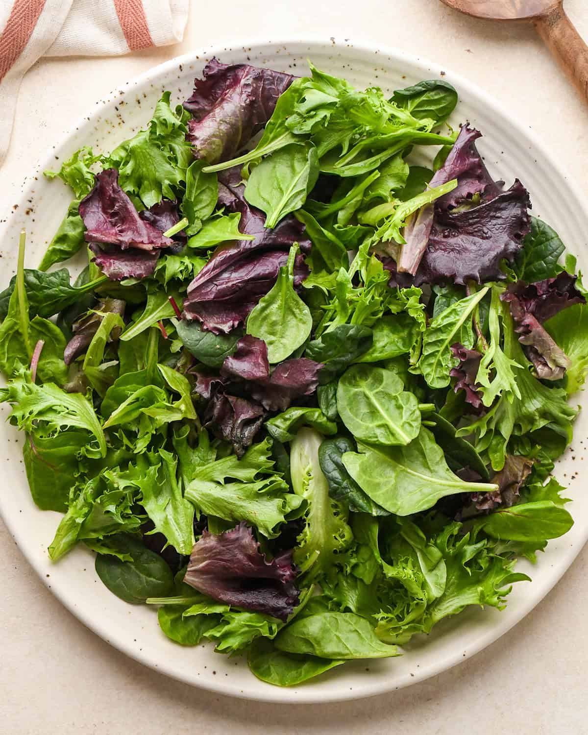 how to assemble burrata salad - spring mix on a plate