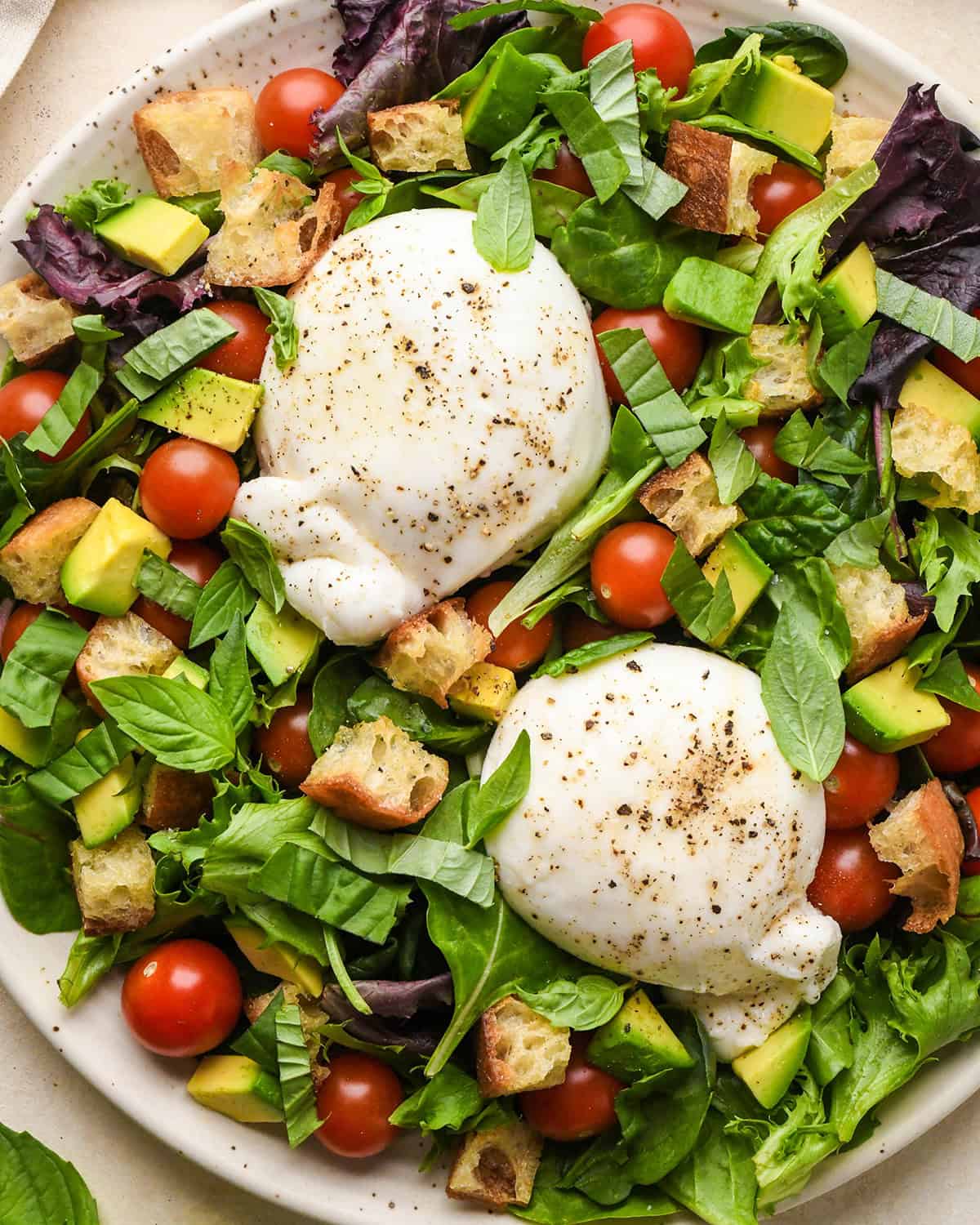 This Burrata Salad Recipe is made with homemade croutons, homemade balsamic vinaigrette dressing tomatoes and spring mix. It's a simple yet elegant salad that serves a crowd! #burrata #burratacheese #burratasalad #capresesald #saladrecipe #summer #summersalad burrata salad assembled on a large serving plate