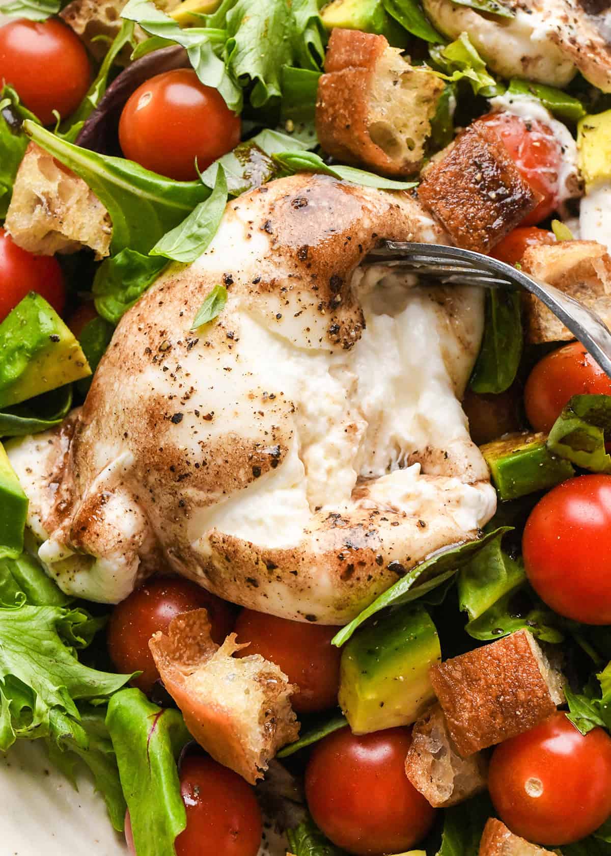 This Burrata Salad Recipe is made with homemade croutons, homemade balsamic vinaigrette dressing tomatoes and spring mix. It's a simple yet elegant salad that serves a crowd! #burrata #burratacheese #burratasalad #capresesald #saladrecipe #summer #summersalad a fork opening a piece of burrata cheese on top of a burrata salad