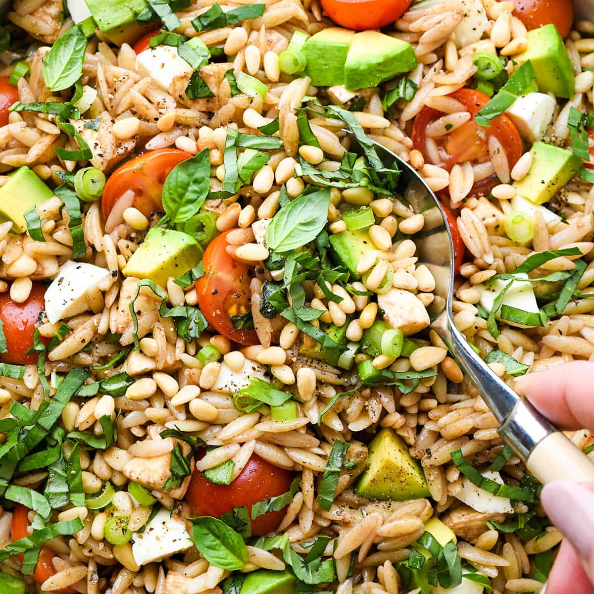 a spoon taking a scoop of Caprese Orzo Salad