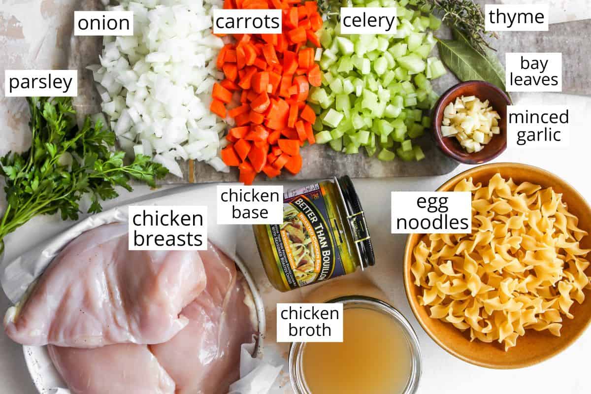 This is the best homemade Chicken Noodle Soup Recipe ever! This easy chicken noodle soup is flavorful, hearty, healthy and it’s made in one pot in under an hour! Follow our step-by-step instructions & watch the video to learn how to make chicken noodle soup! overhead photo of the labeled ingredients in this Homemade Chicken Noodle Soup Recipe