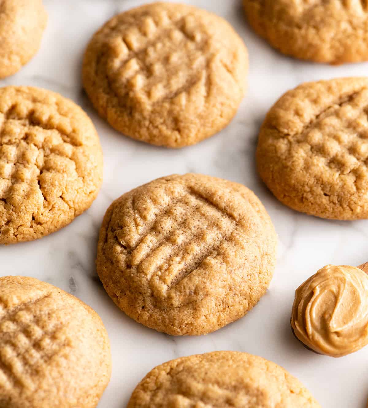 These Flourless Peanut Butter Cookies are easy to make with 4 ingredients in 15 minutes! These gluten-free peanut butter cookies are so good no one can tell they're made without flour or butter! front view of 6 flourless peanut butter cookies