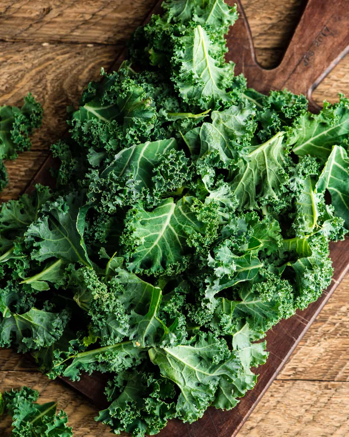 This is the best Baked Kale Chips recipe ever! Homemade crispy kale chips are a delicious, healthy snack made with only five ingredients. Roasting kale chips in the oven keeps them crispy for days! overhead view of Kale leaves on a cutting board ready to be made into baked kale chips