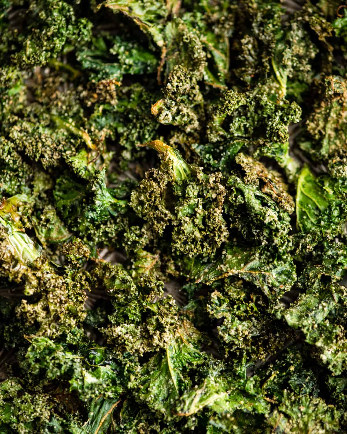 This is the best Baked Kale Chips recipe ever! Homemade crispy kale chips are a delicious, healthy snack made with only five ingredients. Roasting kale chips in the oven keeps them crispy for days! up close overhead view of baked kale chips after baking