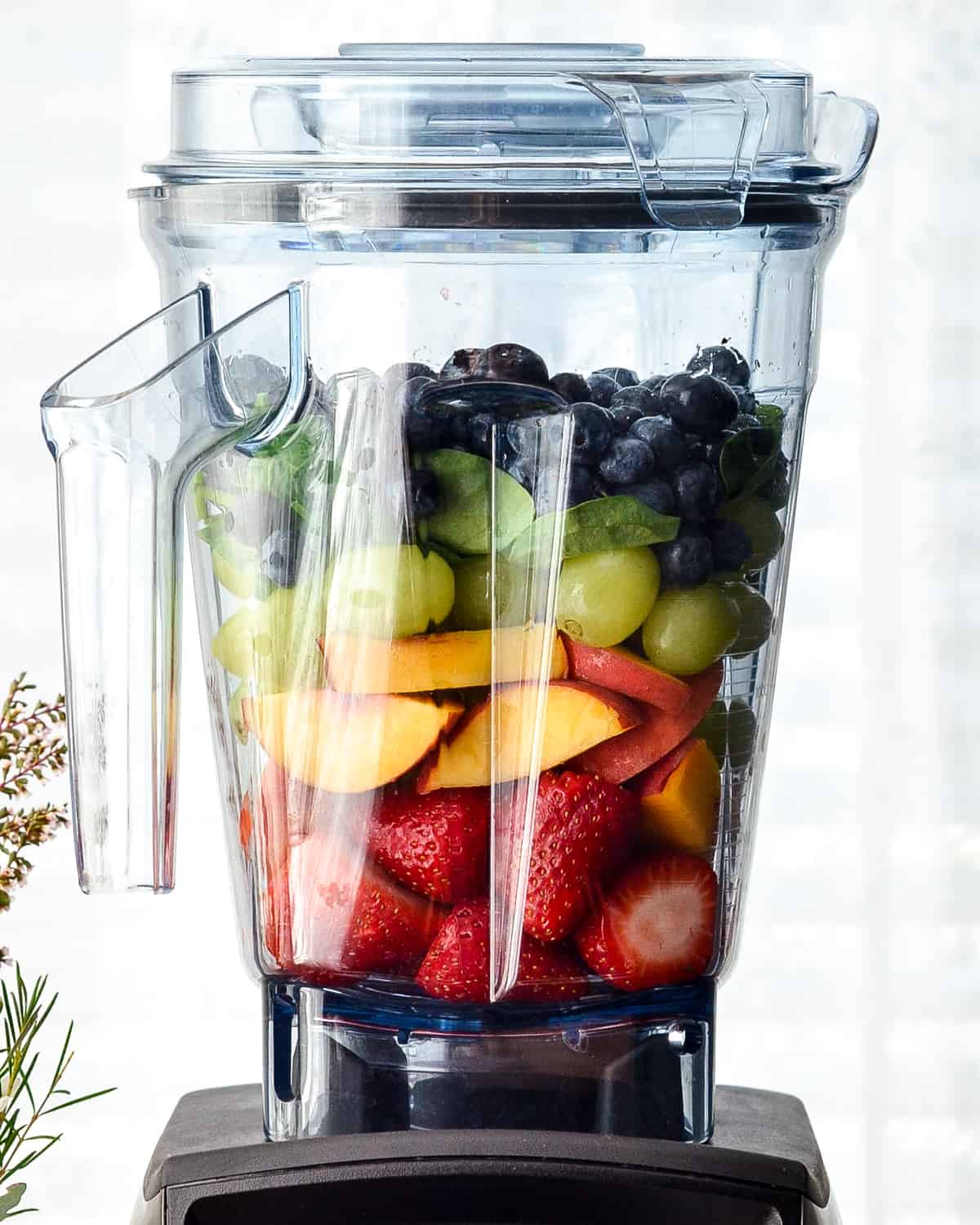 Homemade Fruit Snacks recipe made with whole fruits & vegetables! A healthy, high-protein snack loaded with nutrients made in the blender! #paleo #glutenfree #grainfree #dairyfree #refinedsugarfree #healthysnack #fruitsnacks #homemade #kidfriendly #snacktime font view of a plate of Homemade Fruit Snacks recipe arranged by color in front of a vitamix blender filled with fruit