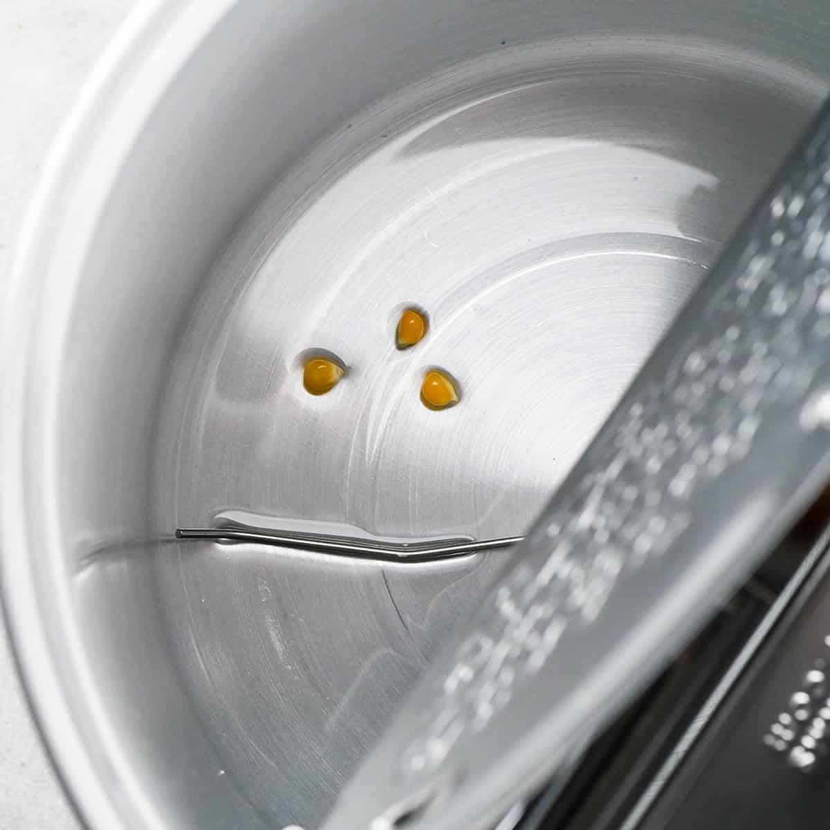 3 popcorn kernels and melted coconut oil in a popcorn maker