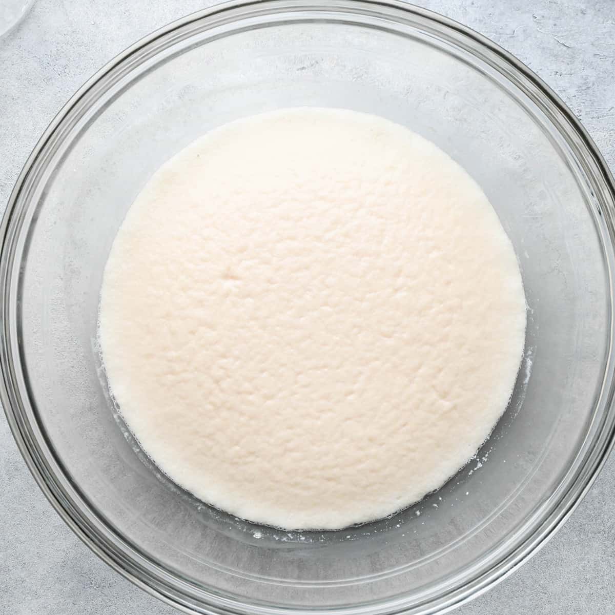 proofed yeast and water mixture in a glass bowl on a gray surface making pizza dough