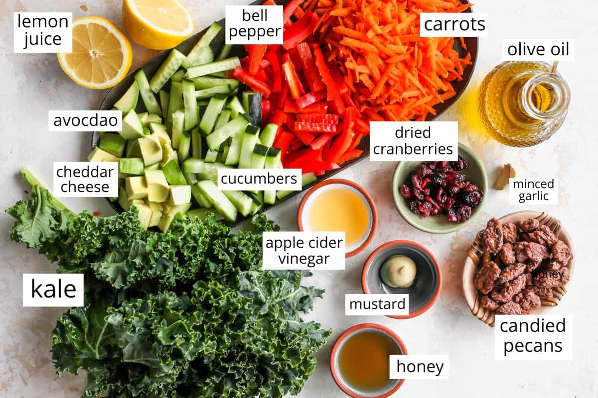This kale salad recipe is loaded with colorful vegetables, sweet cranberries, crunchy pecans, creamy cheddar cheese and the best homemade dressing ever! It’s a hearty salad that holds up well and will impress even kale skeptics. overhead photo of the labeled ingredients in this Kale Salad Recipe