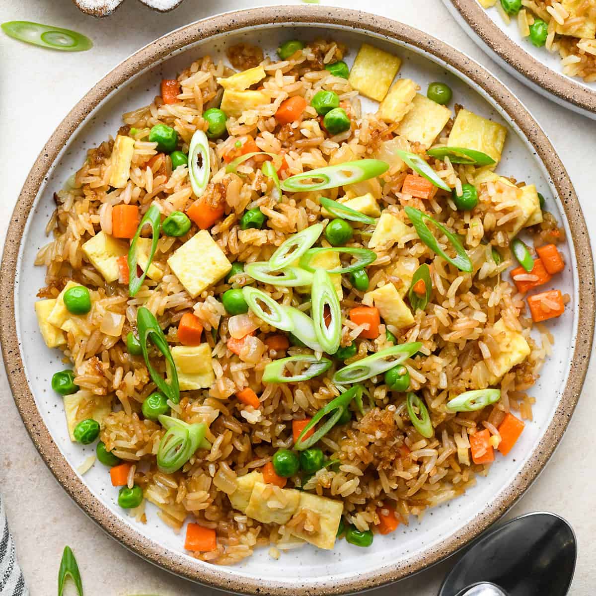 homemade Fried Rice on a plate garnished with green onions